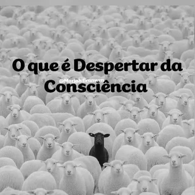 Despertar da Consciência — grupos de WhatsApp