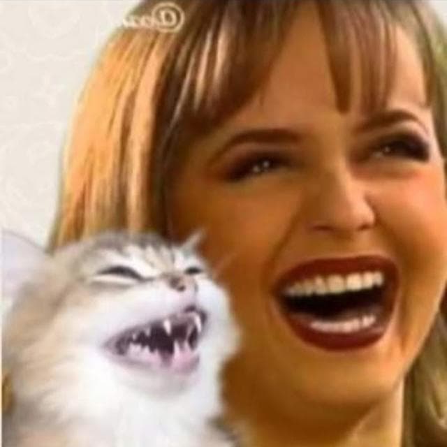 Figurinhas Engraçadas — grupos de WhatsApp