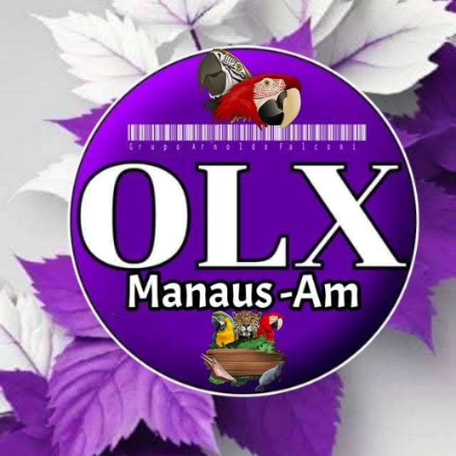 Olx Manaus Vale Tudo — grupos de WhatsApp