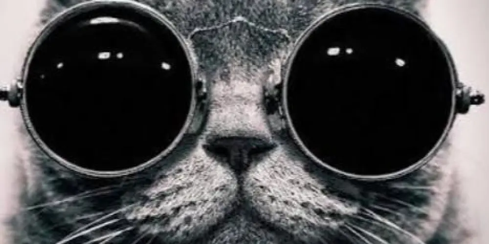 Os mídia 😎👻💥